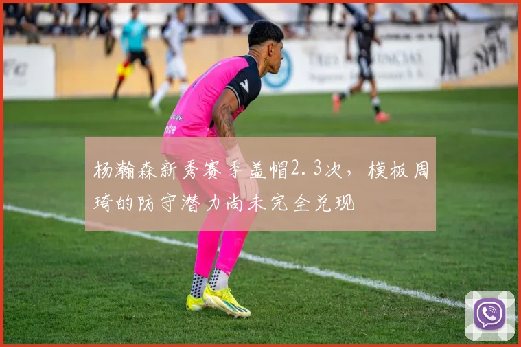 杨瀚森新秀赛季盖帽2.3次,模板周琦的防守潜力尚未完全兑现