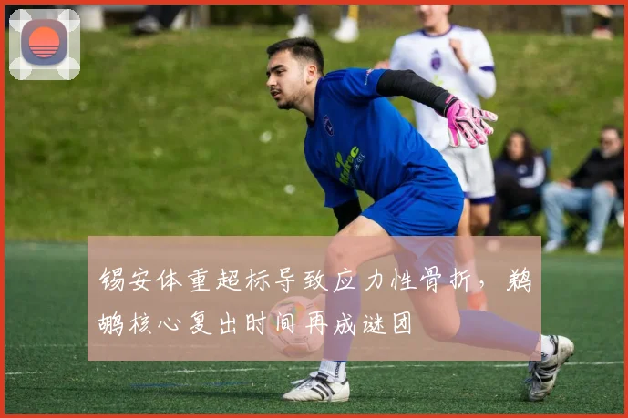 锡安体重超标导致应力性骨折，鹈鹕核心复出时间再成谜团